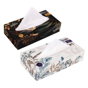 Chusteczki higieniczne 2-warstwowe box 100 szt. RAVI